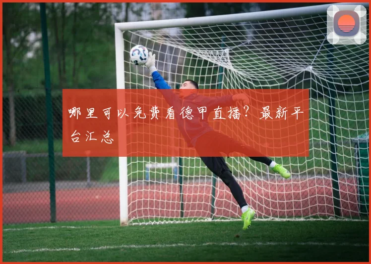 哪里可以免费看德甲直播？最新平台汇总